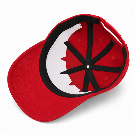Switzerland Great Since 1291 Cap – Die Schweizer Viral Cap